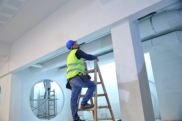 Best Attic Mold Removal  in South Rockwood, MI