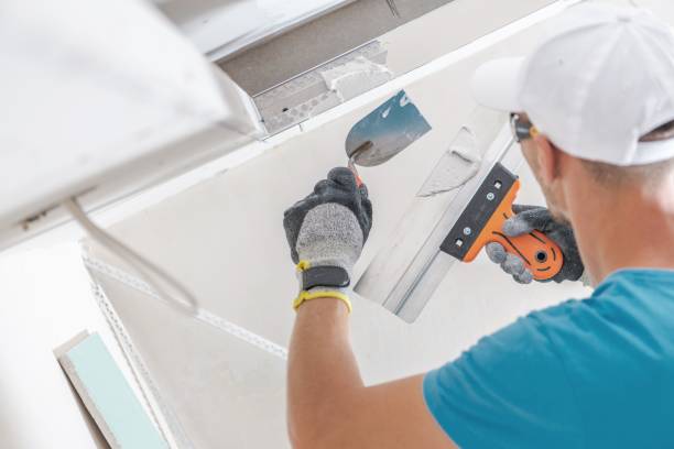 Best Water Damage & Mold Remediation  in South Rockwood, MI